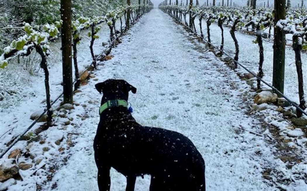 Snow in Alexandra.