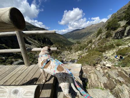 La excursión por excelencia de esta zona es subir hasta el Estany de Juclà