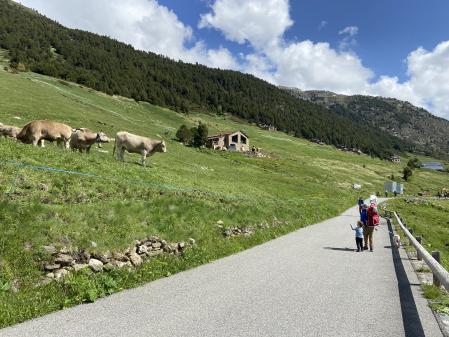 Carretera de la Vall d'Incles