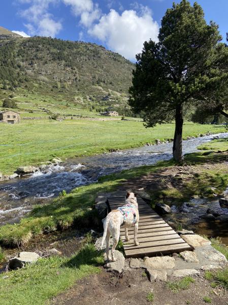 Camí de l'Obac