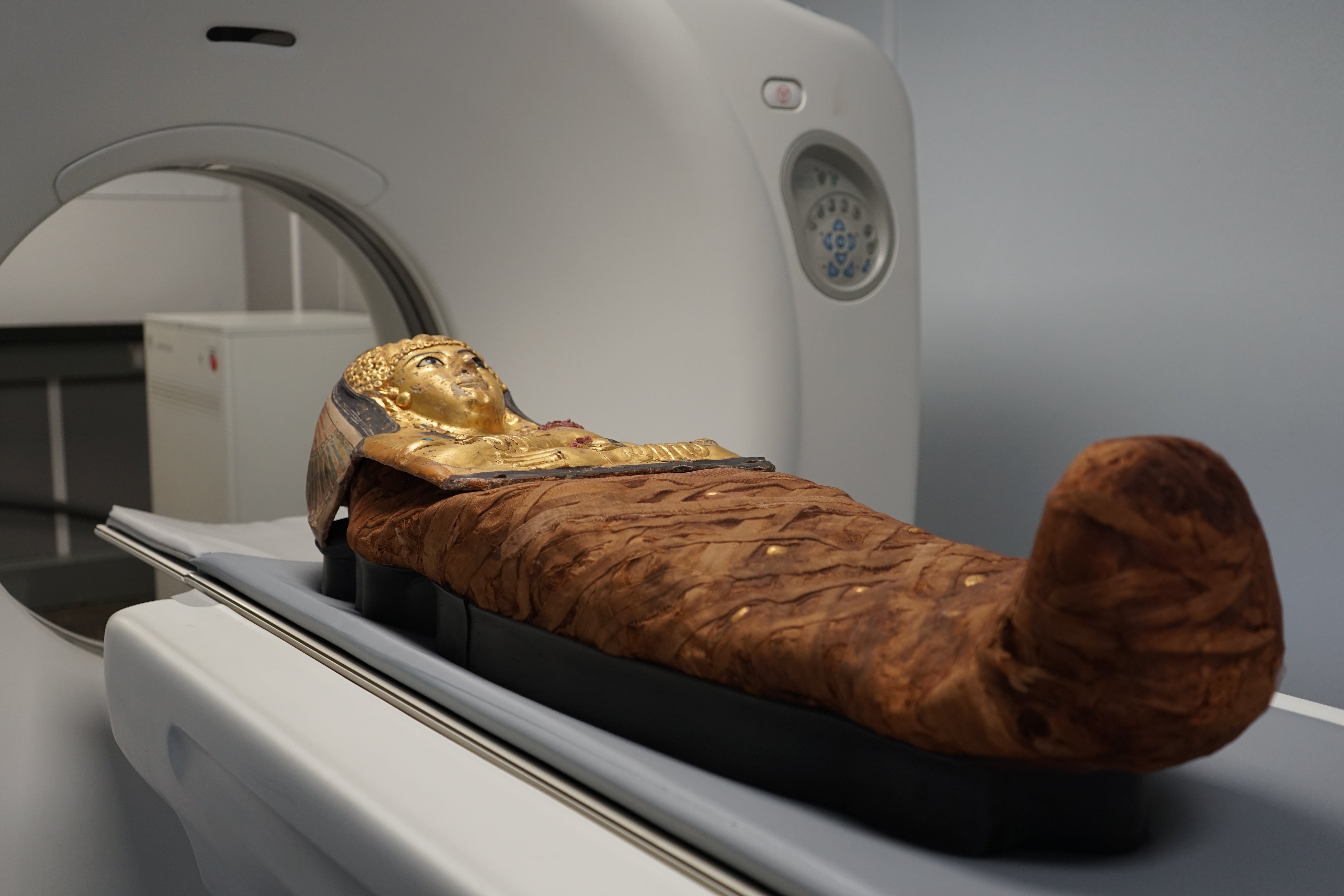 Researchers at the Field Museum scan a mummified individual displayed in the Inside Ancient Egypt exhibition