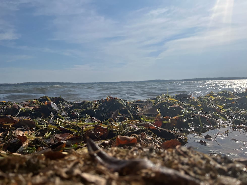 Madison could see record high temperatures this week, experts say it's a part of climate change