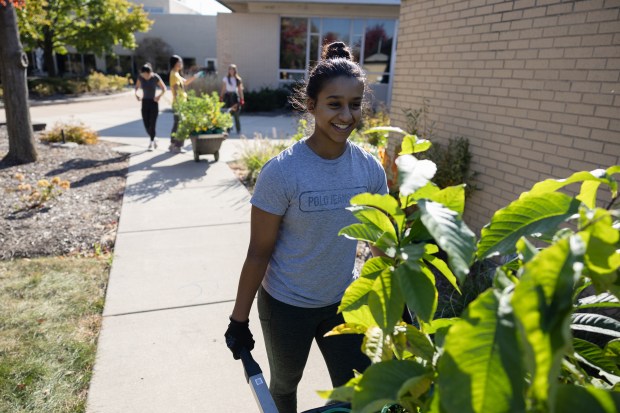 Naperville North junior Sana Akbari wheels tree saplings to an...