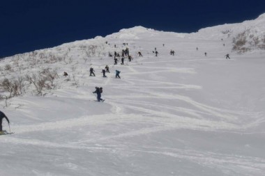 The ant trail near the summit