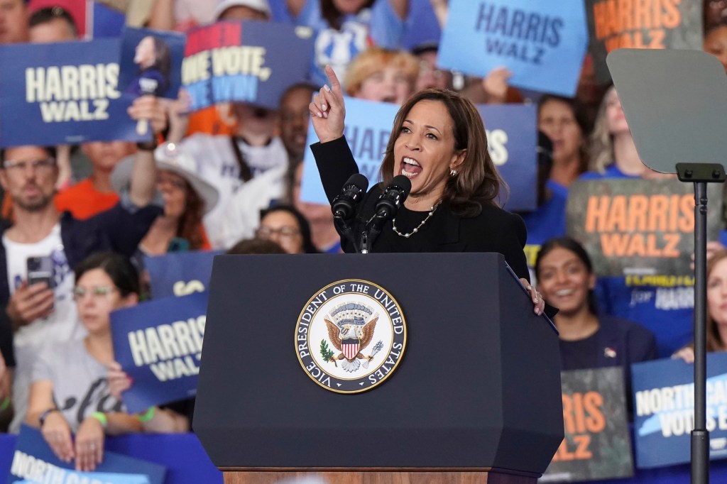 Vice President Kamala Harris delivering a speech at a campaign rally in Raleigh, North Carolina with crowd in the background