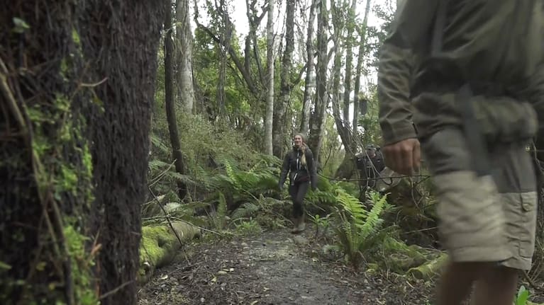 The Tuatapere Hump Ridge Track – a  three-day looping track in Fiordland National Park - is the first to be run entirely by its community. 