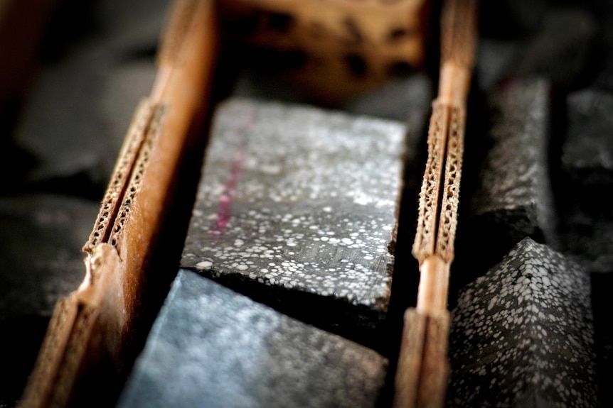 A large box with multiple rocks in it, which have all been catalogued.