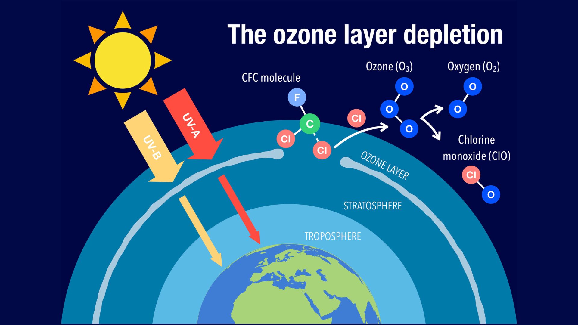 An illustration showing how CFCs contribute to the depletion of the ozone layer.