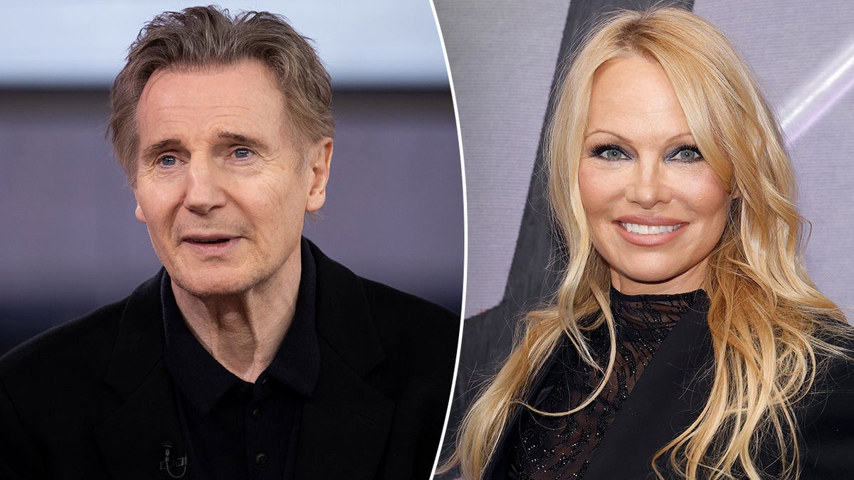 liam neeson, pamela anderson