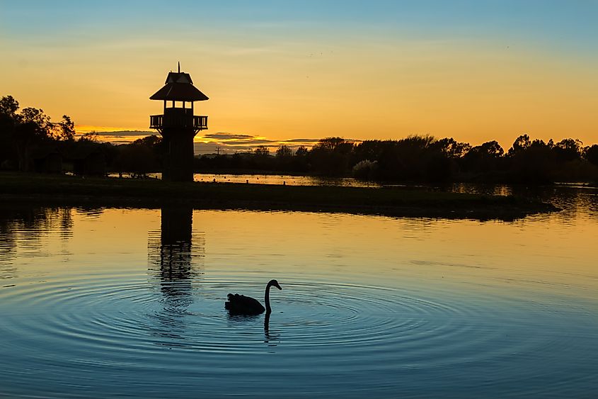 The lookout tower at Henley Lake in Masterton, New Zealand