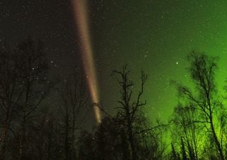 “Steve” appeared in UK skies last night with the aurora